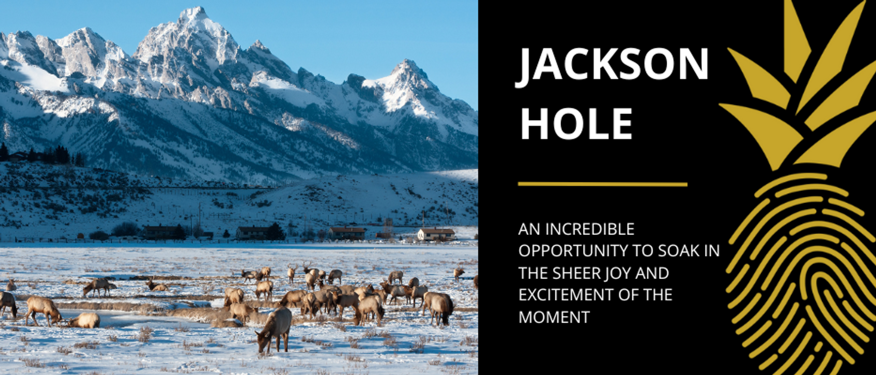 A view of Jackson Hole, Wyoming, with the snow-covered mountains in the background