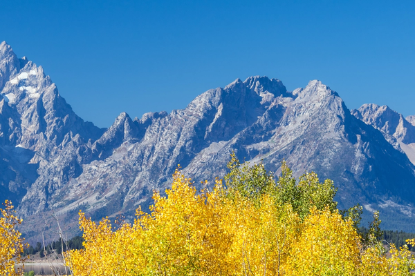 The Aspens Jackson Hole: Vacation Rentals & More