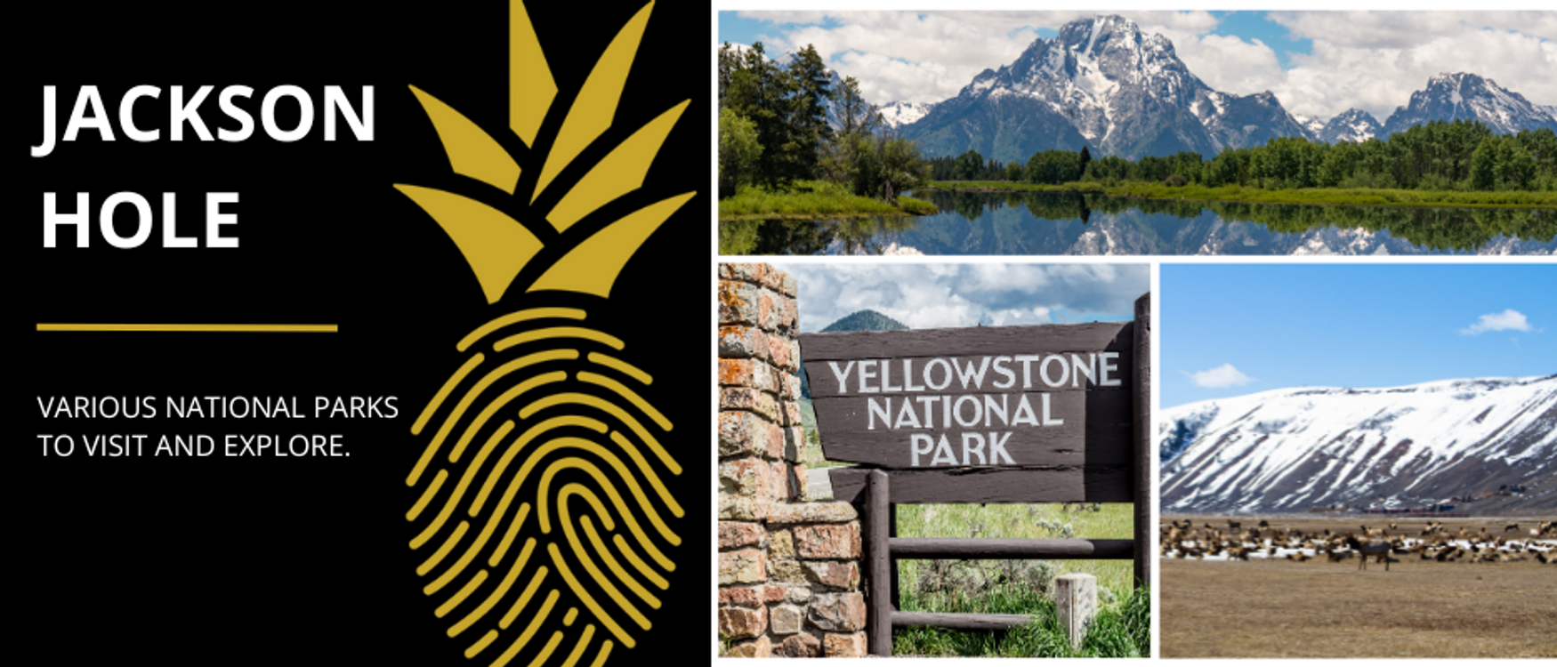 A view of Jackson Hole's natural wonders, including the Grand Teton National Park, Yellowstone National Park, and National Elk Refuge